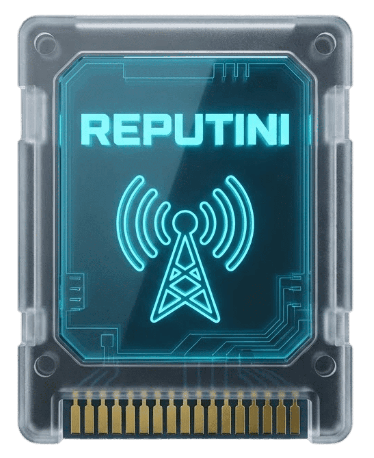 REPUTINI